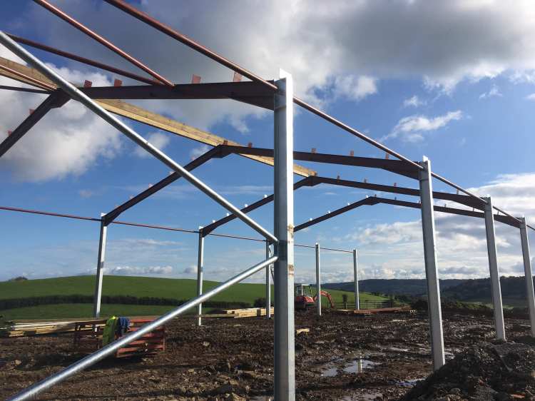 Case Study: Agricultural&nbsp;Shed